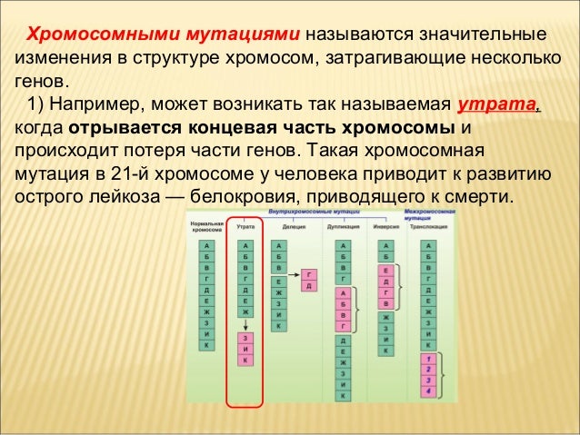 С каким видом мутаций связано кратное увеличение числа хромосом С каким видом мутаций связано кратное увеличение числа хромосом